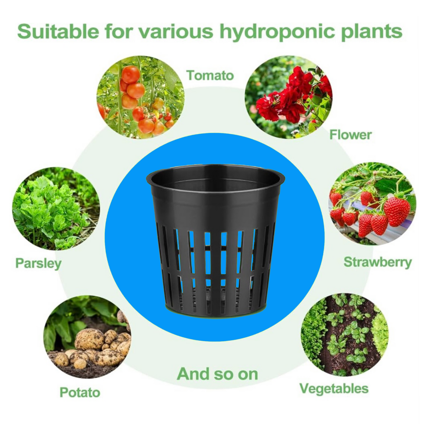 2 Inch Hydroponics Net Pots - Slotted Mesh Net Cups for Plant Growing System - Self Watering Baskets for Indoor and Outdoor Plants, Hydroponics Supplies Kit