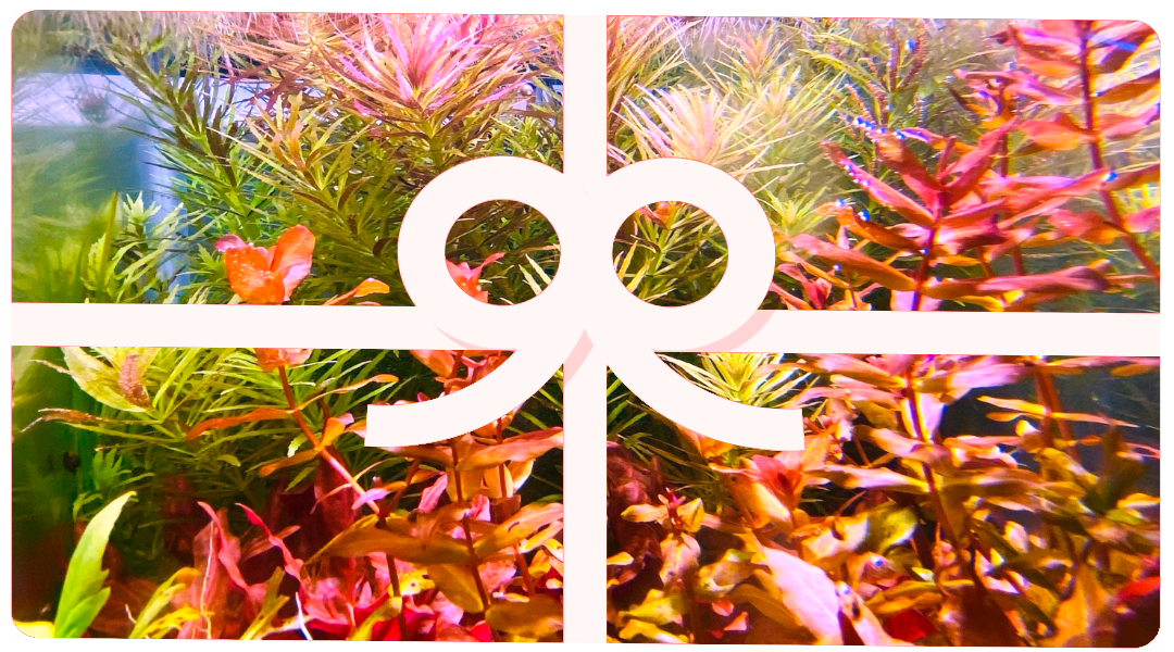 HYGRONATURE Gift Card